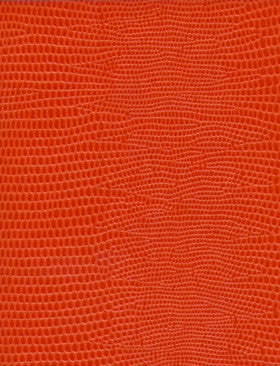 PHOTO ALBUM ORANGE LARGE