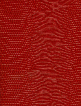 PHOTO ALBUM RED MEDIUM