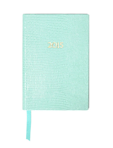 2015 DIARY - AQUA POCKET